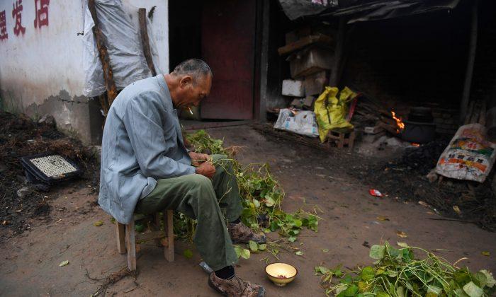 China Wants to Solve Poverty, but Its Own Officials Are Undermining the Efforts