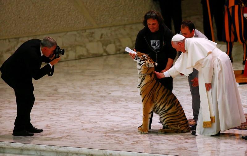 Pope Treats Poor to Circus, Upsetting Animal Rights Activists