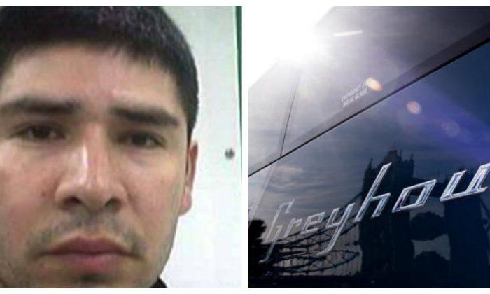 Illegal Immigrant on Greyhound Bus Arrested After Threatening to Kill Passengers