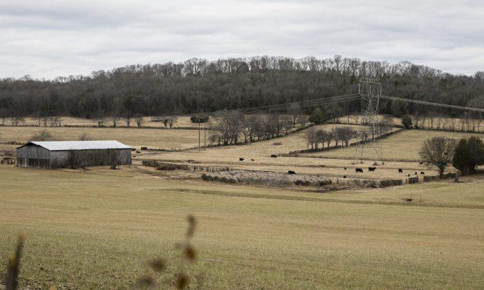 Efforts to Ban China From Purchasing Tennessee Land Draw Politicians Across the Aisle