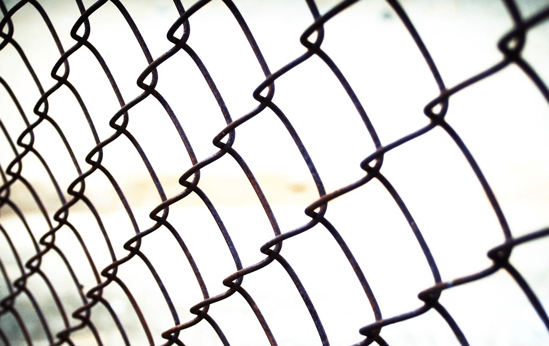 New York Man Who Abused Puppy Gets Prison Sentence