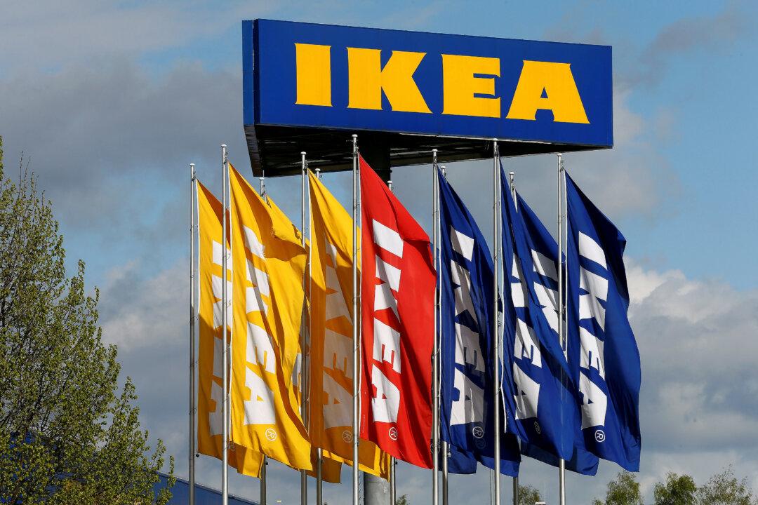 IKEA Praised After Allowing Stray Dogs to Sleep in Store During Winter
