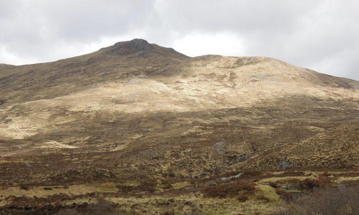 Rare White Stag Caught on Film in Scotland