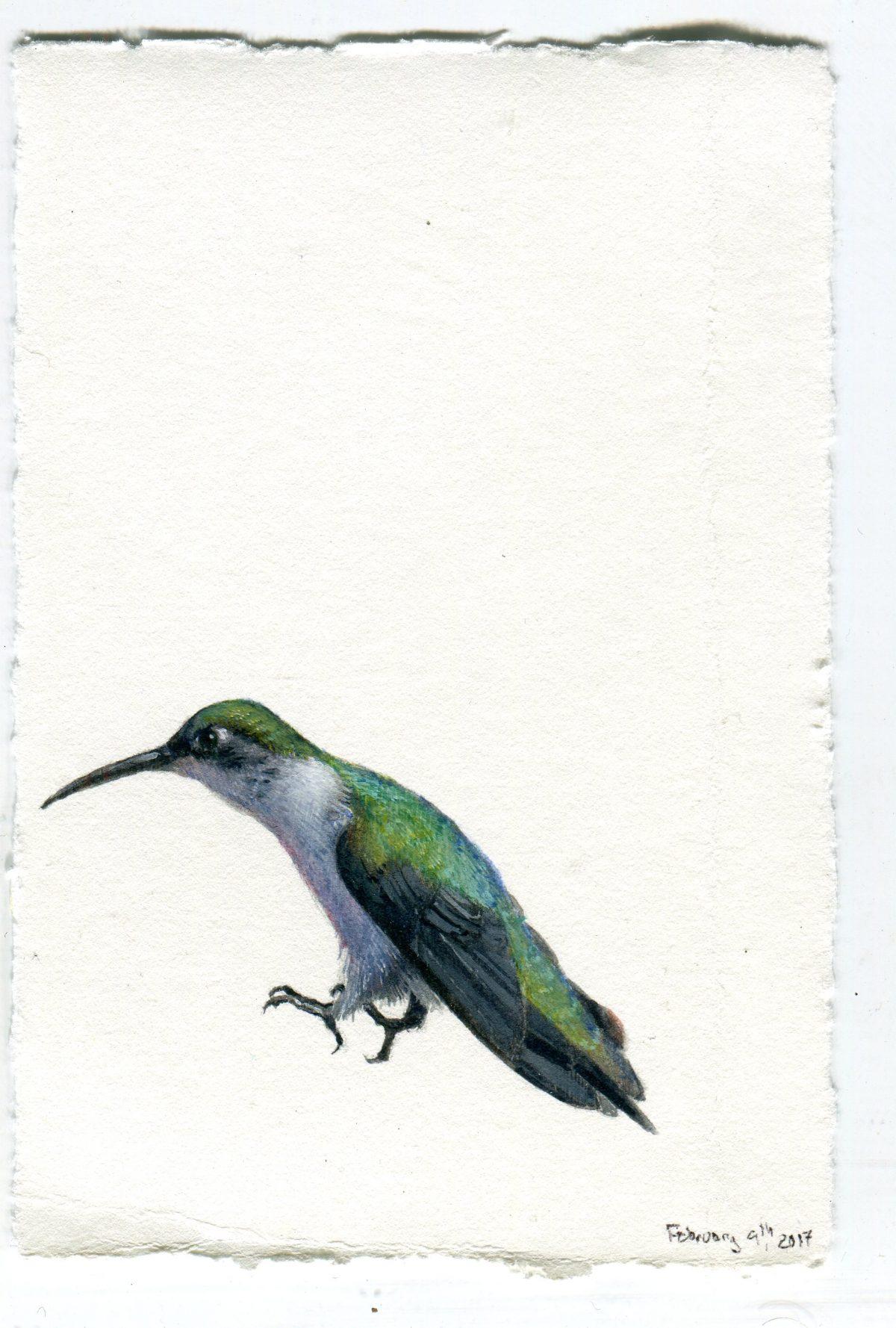 "Humming Bird #155" by Dina Brodsky. (Courtesy of Dina Brodsky)