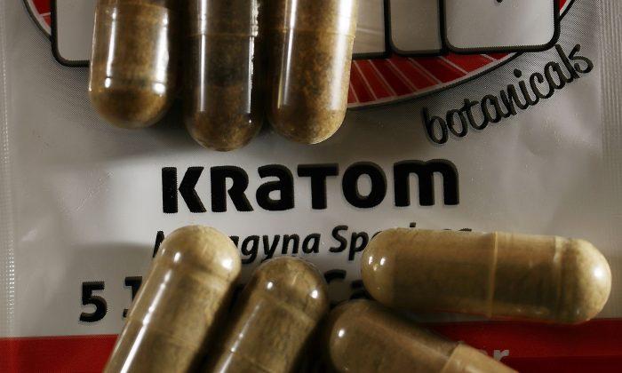 FDA Reports Natural Opiate Kratom Could Pose Addiction Dangers