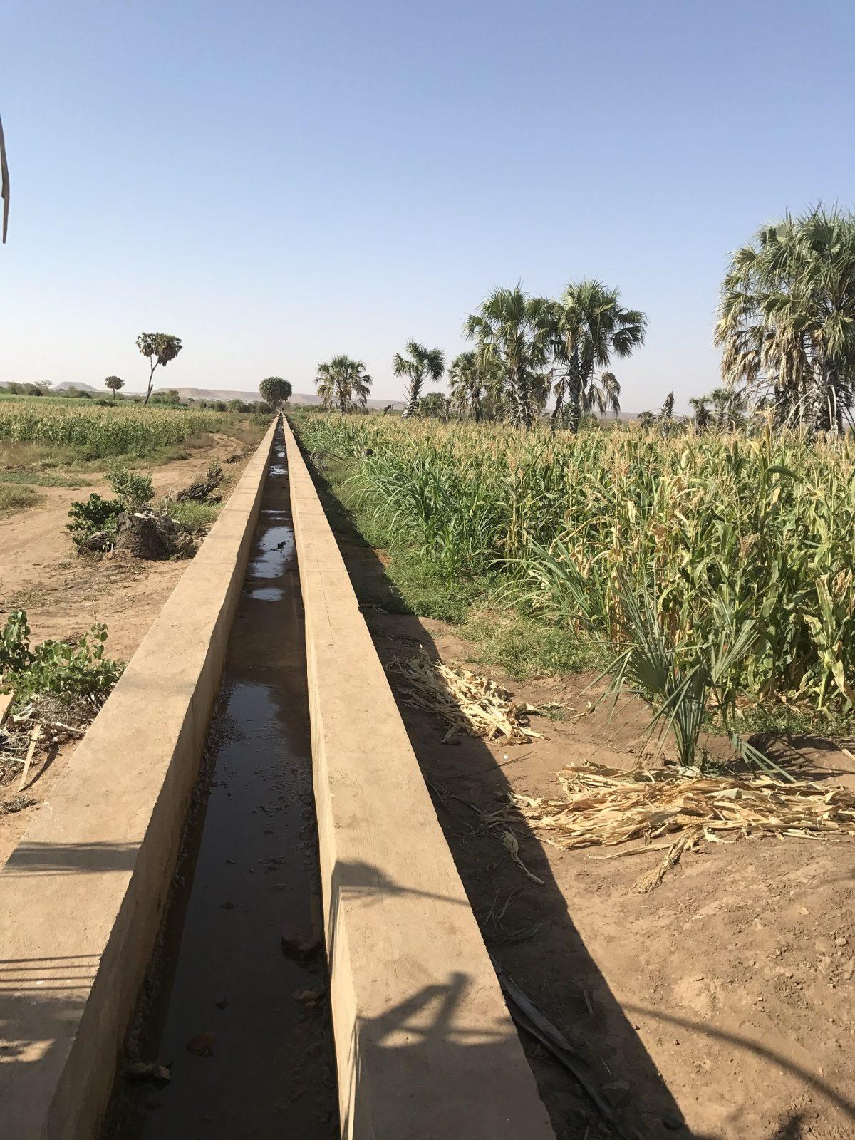 Miles of canals cross 80 hectares of land split up equally between host communities and refugees in Melkadida, Ethiopia. (Lisa Sim/Epoch Times)