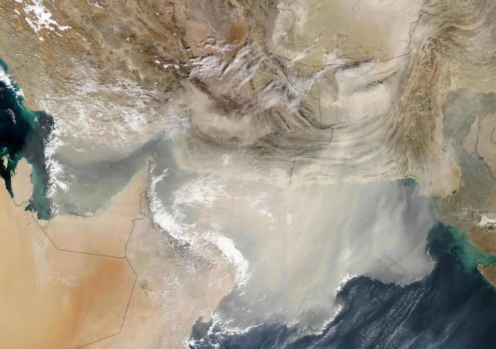 Billions of Viruses Are Showering the Planet’s Surface in Every Moment