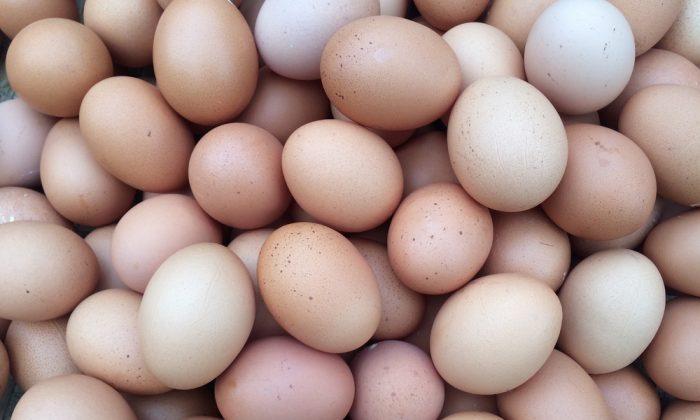 Norway Olympic Team Accidentally Orders 15,000 Eggs