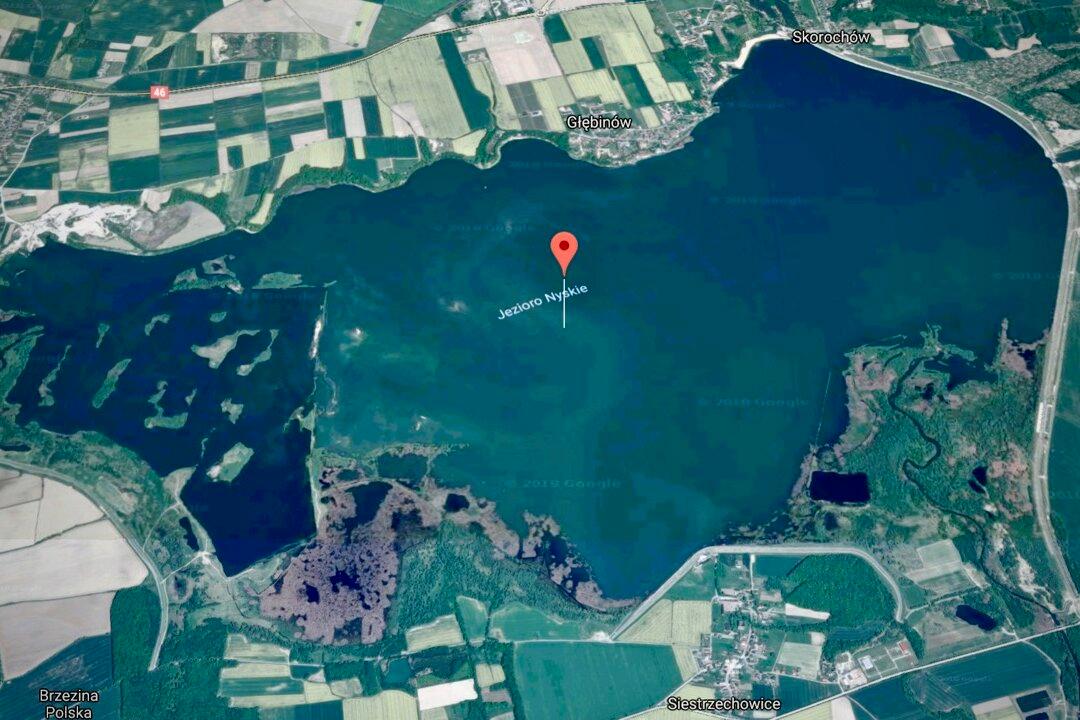 Cow Escapes Slaughter, Journeys by Lake to Uninhabited Island