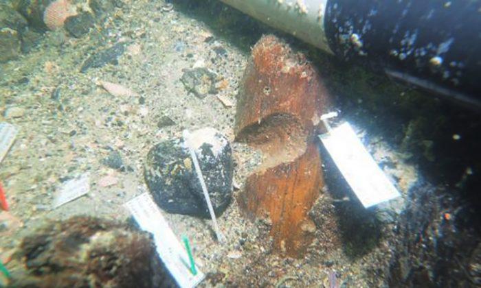 7000-Year-Old Native American Burial Site Discovered Beneath the Gulf of Mexico