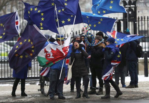 Anti-Brexit protestors wave flags outside Downing Street as European Council President Donald Tusk meets Britain's Prime Minister Theresa May in London, March 1, 2018. (Reuters/Simon Dawson)