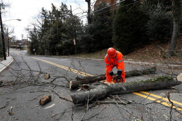 A worker cuts a fallen tree blocking a road on Foxholl Road as high-wind weather conditions continue in Washington, U.S. March 2, 2018. (Reuters/Yuri Gripas)