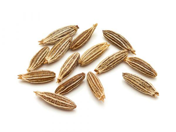Cumin seeds. (BUSINESS-CREATIONS/Shutterstock)