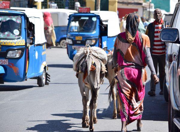 With Ephrem at the wheel, we drove through lively villages congested with mules, tuk-tuks, and a steady procession of pedestrians. (Giannella M. Garrett)