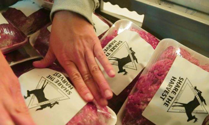 Hunters Donate 290,000 Pounds of Venison to Feed the Hungry