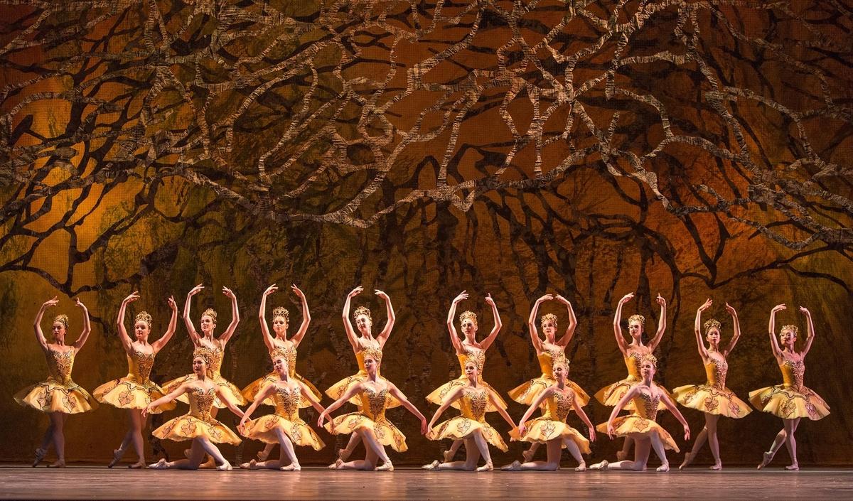 ‘The Sleeping Beauty’: The Magic of Patience