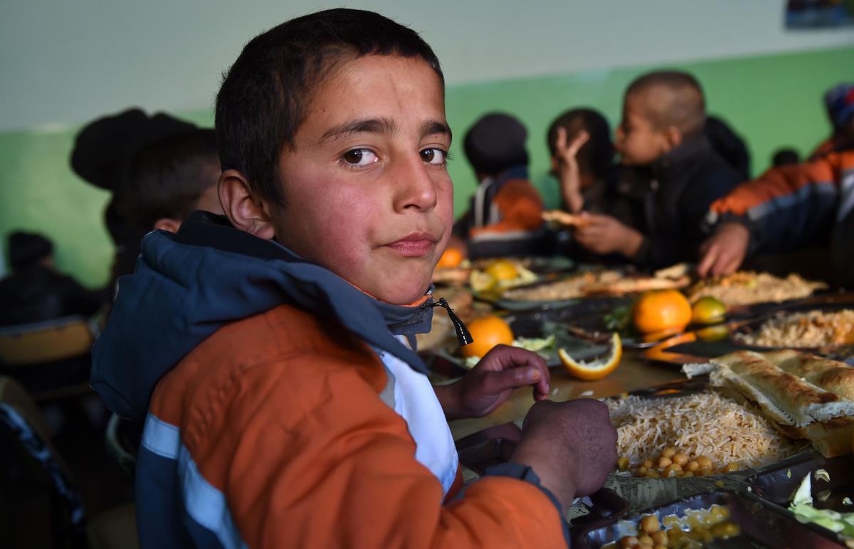 About 866 Million Illnesses Linked to Contaminated Food Annually: WHO