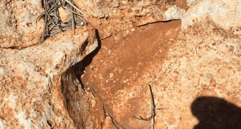 The empty space left behind after the ancient fossil was illegally removed. (Western Australia Government)