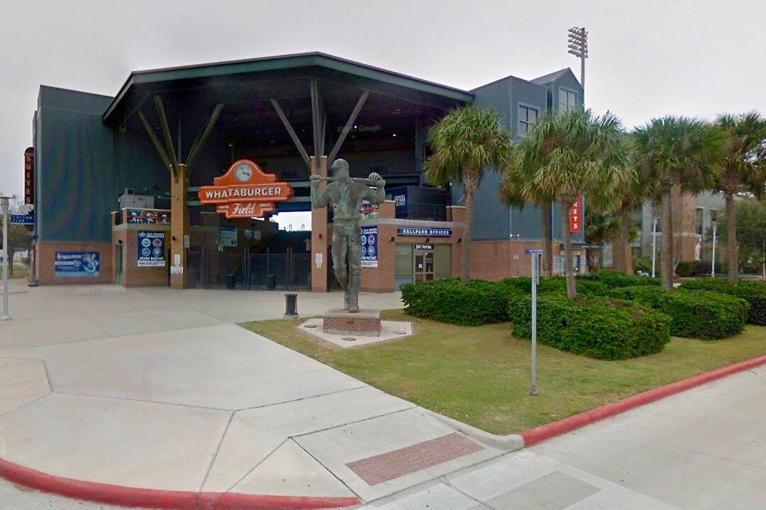 Semi-Pro Baseball Player Caught Beating Girlfriend in Stadium