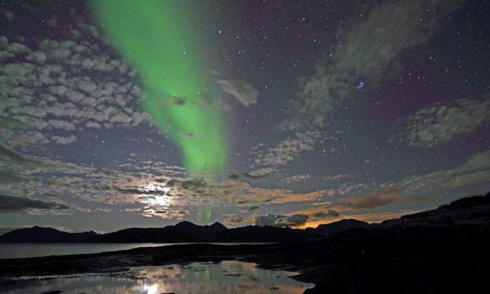Aurora Chasers in Canada Discover a New Type of Northern Lights Dubbed ‘Steve’