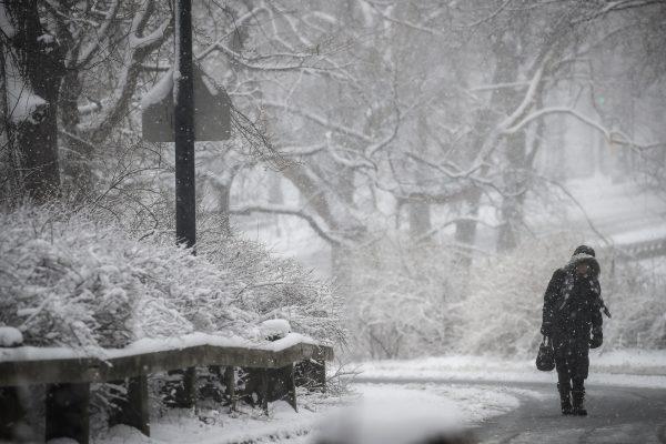A woman walks through Central Park during a snowstorm in New York City on March 21, 2018. (Drew Angerer/Getty Images)