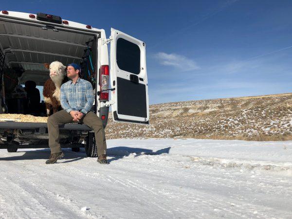 Dan McKernan drove Mike the cow more than 2,000 miles across the U.S. in an emergency road trip. (SWNS)