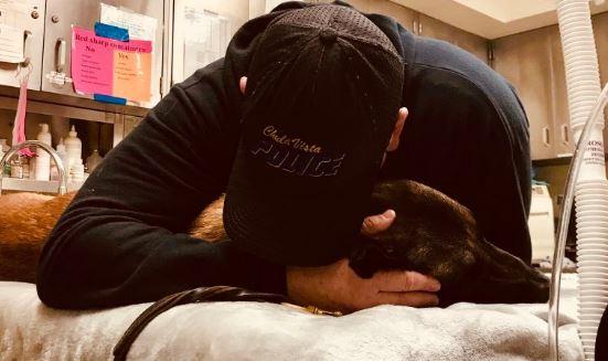 Police Department Shares Emotional Photo of Officer Saying Goodbye to Dying K-9