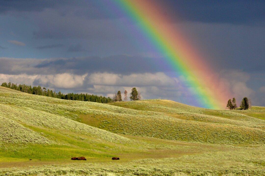 Harness the Potential of Spring for a Healthier You