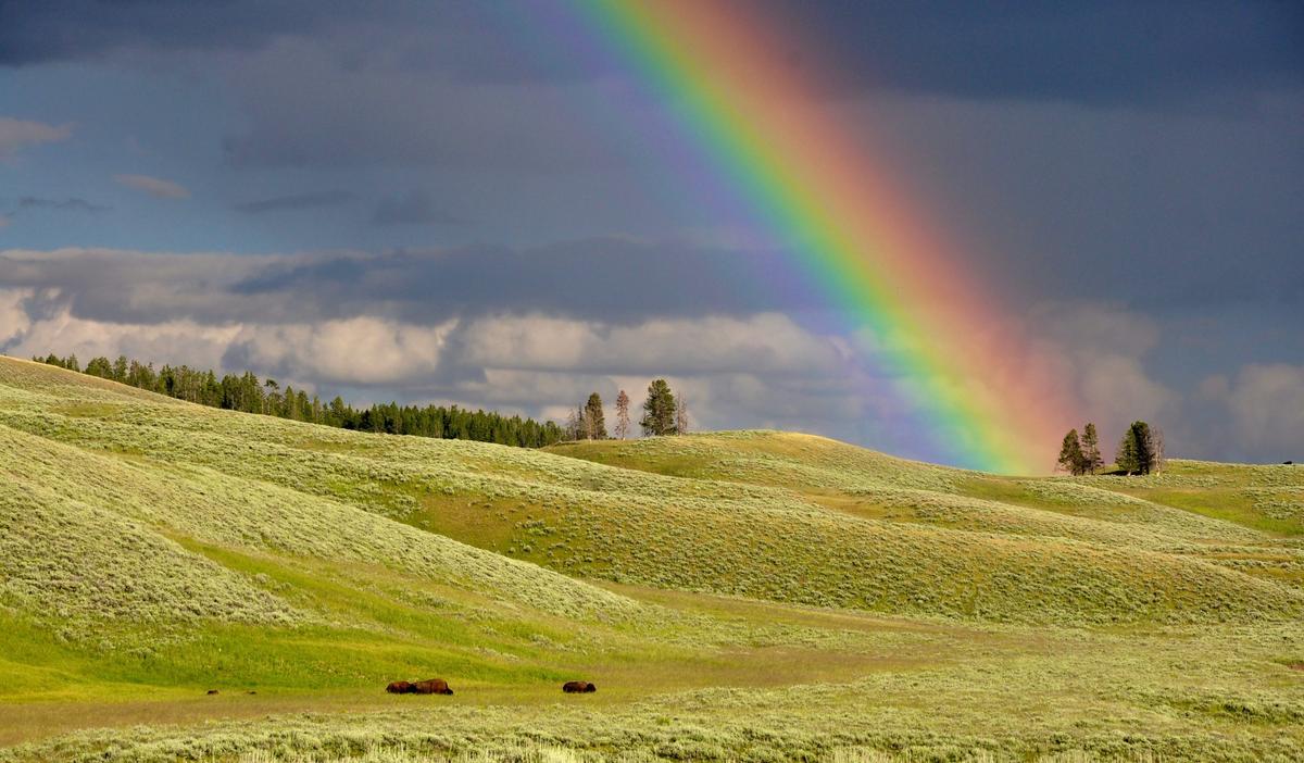 Harness the Potential of Spring for a Healthier You