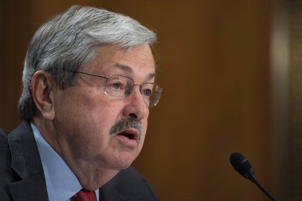 Terry Branstad, testifying before the Senate Foreign Relations Committee on his nomination to be ambassador to China, on Capitol Hill in Washington, DC, on May 2, 2017. (Jim Watson/AFP/Getty Images)
