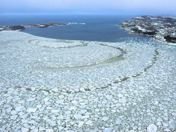 Pack ice on the shore of Fogo Island. (Courtesy of Fogo Island Inn)