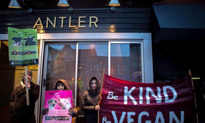 Ethical Eating Debate Arises After Vegan Protesters Target Toronto Restaurant