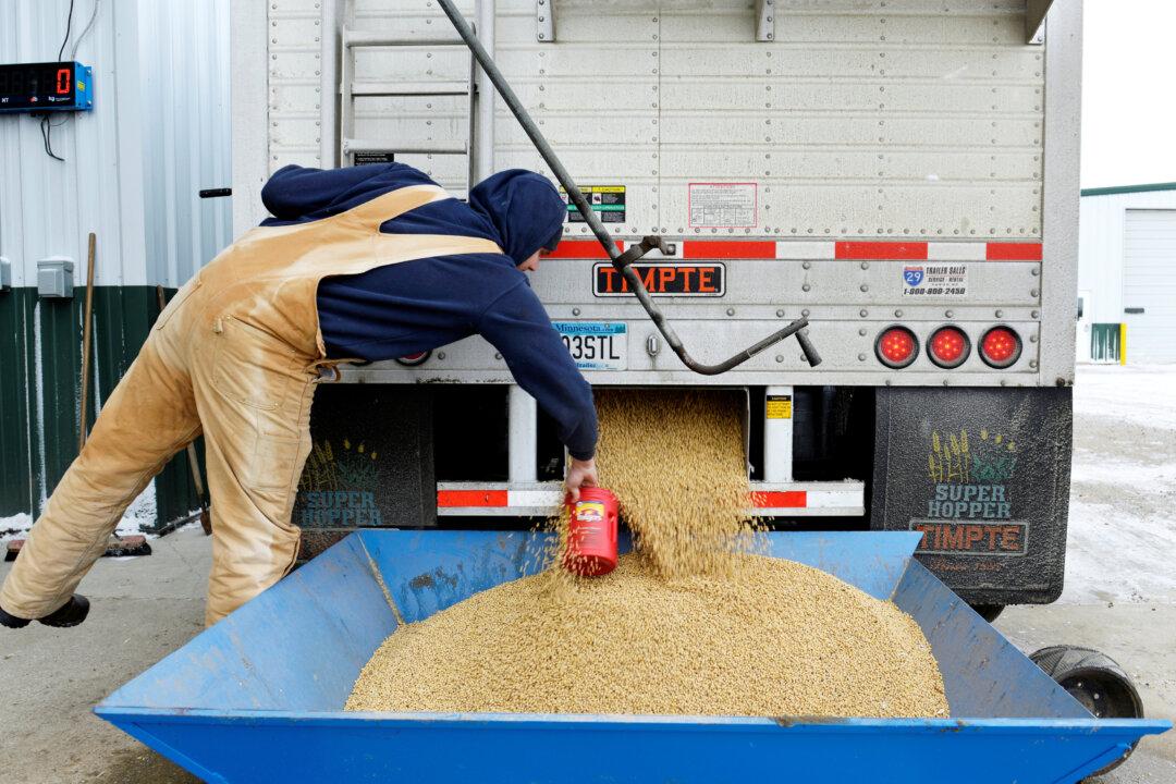 China Retaliates, Slaps Duties on US Soybeans, Planes