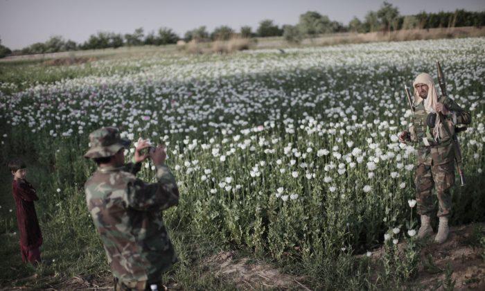US, Afghan Forces Expand Air Strikes on Taliban Drug Labs