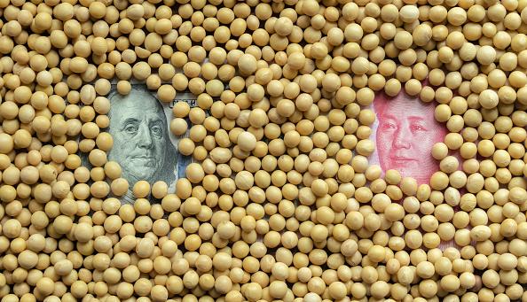 As US and China Trade Tariff Barbs, Others Scoop up US Soybeans