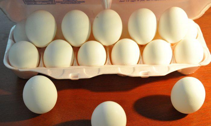 FDA: 206 Million Eggs Recalled Across US Over Salmonella