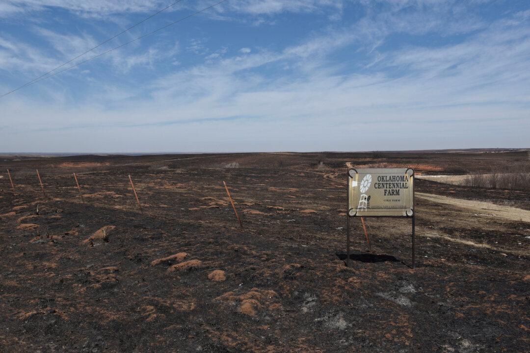 Pastures Burnt by the Rhea Fire Are Seen Near Taloga, Oklahoma