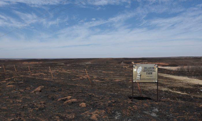 Pastures Burnt by the Rhea Fire Are Seen Near Taloga, Oklahoma