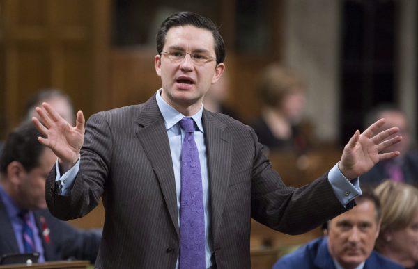 Conservative MP Pierre Poilievre. (The Canadian Press/Adrian Wyld)