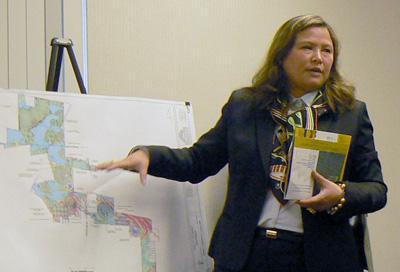 Sherry Li giving a presentation on the proposed China City of America-turned-Thompson Education Center in May 2013. (MidHudsonNews.com)