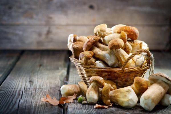 Mushrooms for many are just an addition to a slice of pizza, but the fungi are now gaining a reputation for their nutrients.  (Anna/Shutterstock)