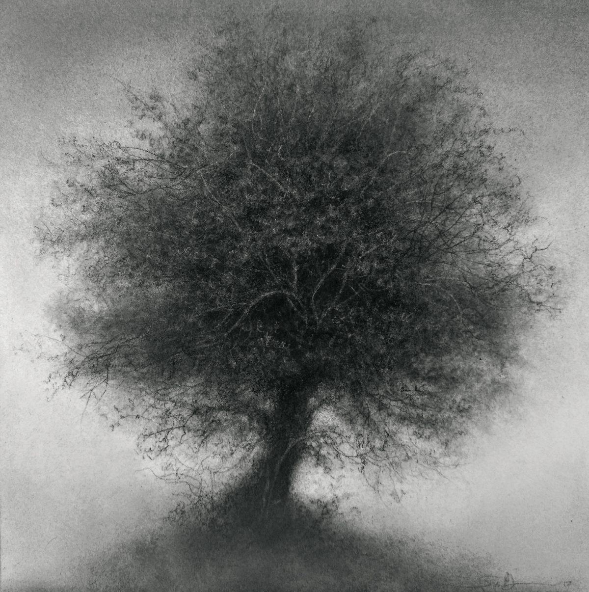 "Trinket" by Sue Bryan. Charcoal and carbon on Arches paper mounted on wood, 10 inches by 10 inches. (The Florence Academy of Art–U.S.)