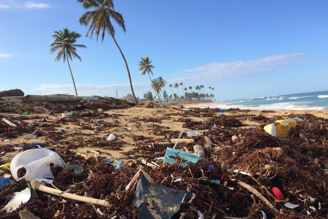 Swimming in an Ocean of Plastic