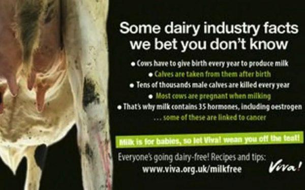 The Viva! advert which wrongly linked cow's milk to cancer.