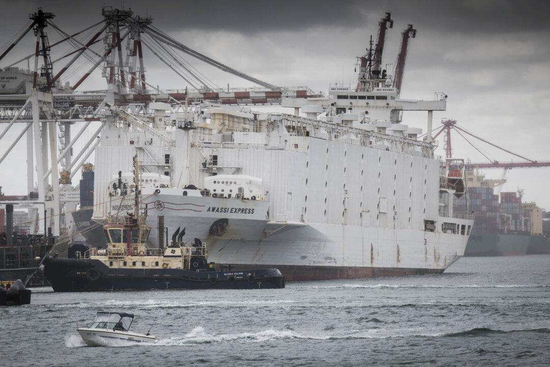 Australia Toughens Welfare Standards for Live Animal Exports After Death of 2,400 Sheep