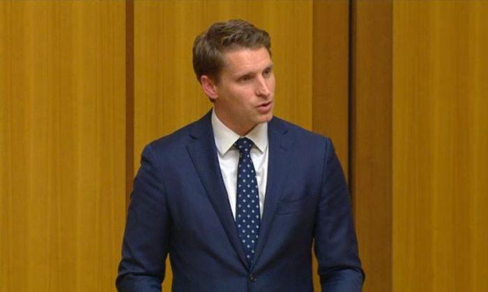 NEG Would Undermine Australia’s ‘Economic Sovereignty,’ Liberal MP Says