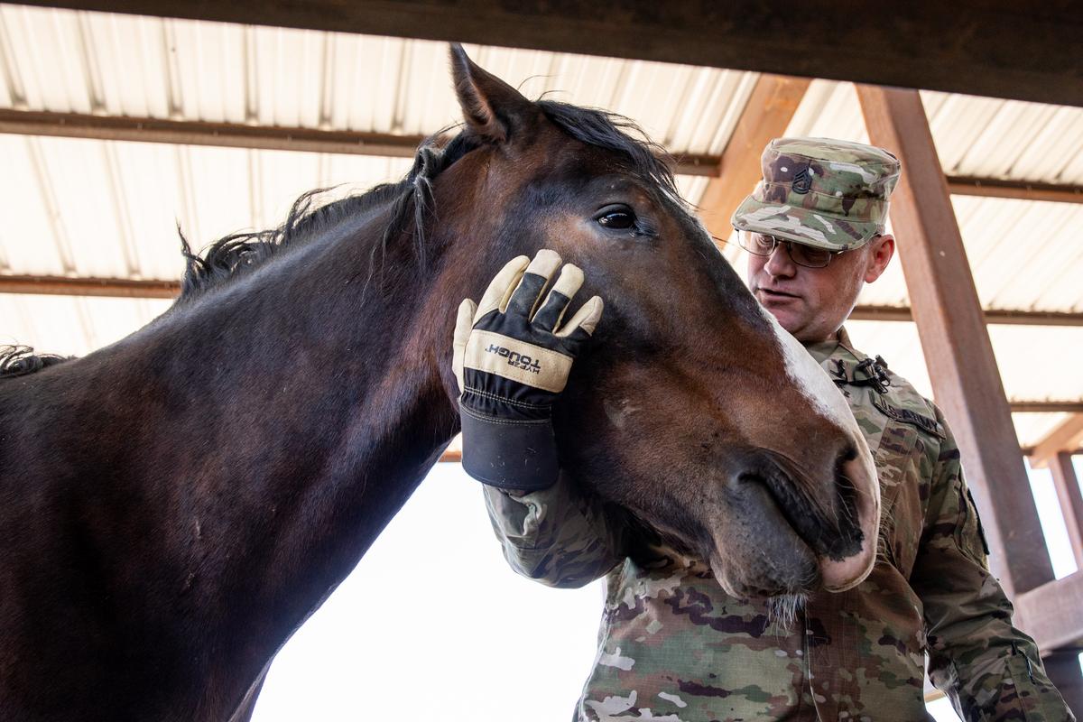 National Guardsman Sgt. First Class Thomas Evitts at the horse stable area at the Border Patrol station in Nogales, Ariz., on May 23, 2018. (Samira Bouaou/The Epoch Times)