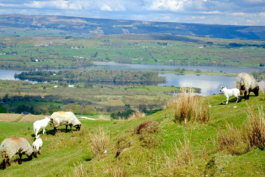 Discovering Donegal’s Wild Atlantic Way