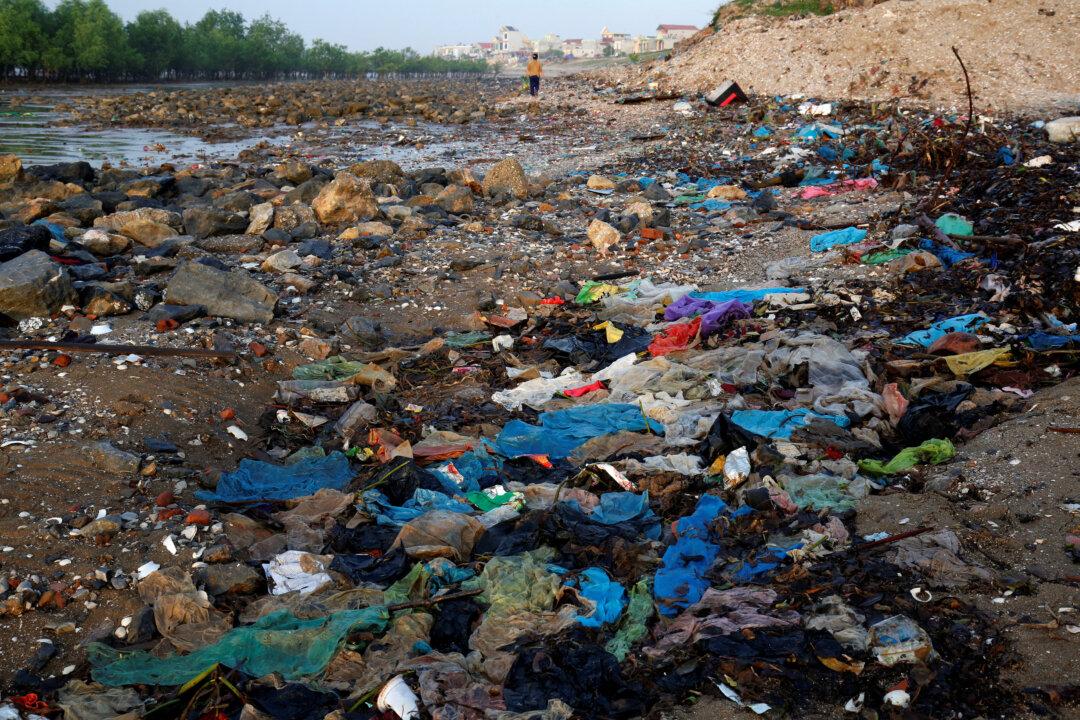Drastic Plastic: Vietnam Beach Awash With Tide of Blue Waste