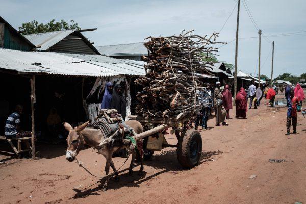 A donkey pulls a cart loaded with firewood in northeastern Kenya, on April 18, 2018. (Yasuyoshi Chiba/AFP/Getty Images)
